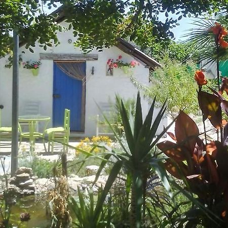 Vivienda Rural La Choza Villa Jerez de la Frontera Eksteriør bilde