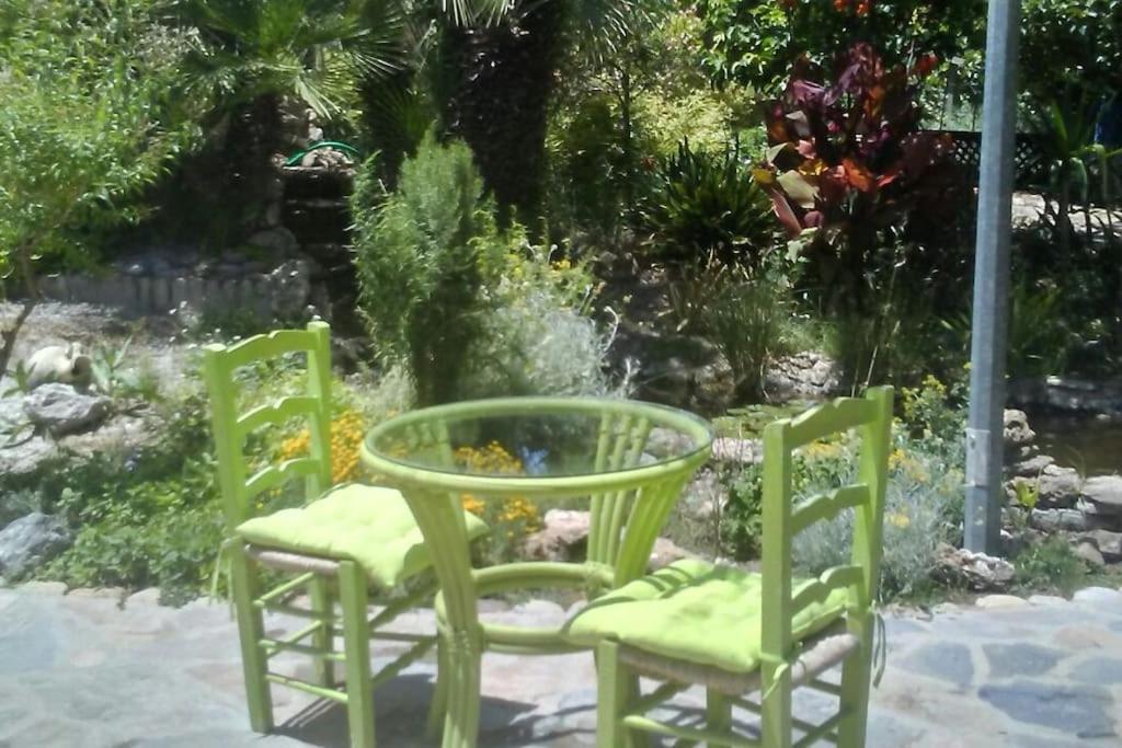Vivienda Rural La Choza Villa Jerez de la Frontera Eksteriør bilde