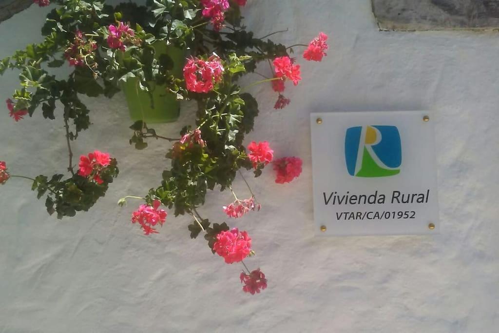 Vivienda Rural La Choza Villa Jerez de la Frontera Eksteriør bilde